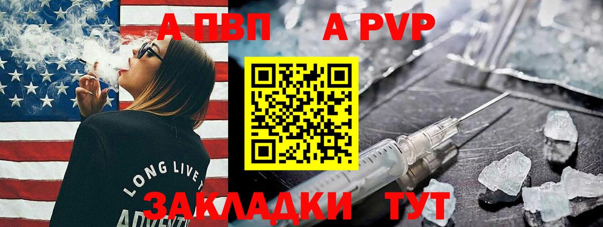 Alfa_PVP СК Сунжа