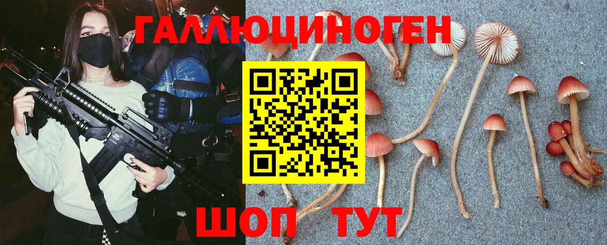 Галлюциногенные грибы MAGIC MUSHROOMS  Вход с VPN  Сунжа 